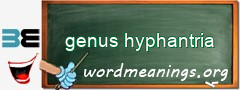 WordMeaning blackboard for genus hyphantria